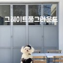 그레이트풀그라운드 이미지