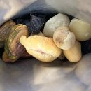 오늘의식빵175˚C