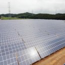 꿩먹고 알먹고 뒤 이미지