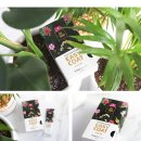 운남서로76번길 이미지