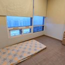 서울드림소아청소년과의원 이미지