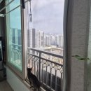 대성아파트 | 대구 남구 고양이방충망 , 냥냥펀치도 끄떡없는 블랙 스텐망 시공 ( 대성유니드아파트 후기 )