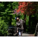 장태산휴양림 이미지