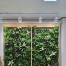 혜성가든 이미지