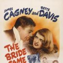 1941 신부가 사인이 되었다.The Bride Came C.O.D. 이미지