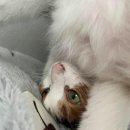 무념무상