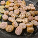 4856 | 울산 병영막창거리 맛집 <연막창 병영점> 에서 맛있는 막창구이 후기!