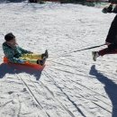 용인대 키즈 태권도 이미지