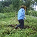 상동약수탕 이미지