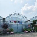 엘림랜드(주)