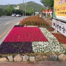 공영주차장(옥룡동) 이미지