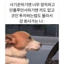 가보정 이미지