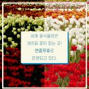 사계절꽃식물원