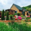 다정이네 이미지