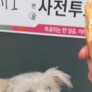 온새네 간식점 이미지