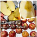 박재현농장 | [ 쿠팡 사과배송 ] 고물가 금값인 사과 쿠팡사과 내돈내산 구매 두 번째(ft.맛있는 사과는 역시 커야지...