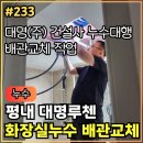 호평32통(대명루첸아파트) | 233.[ 평내동누수 ] 평내 대명루첸 화장실누수 메인 수도 배관 교체 작업 후기