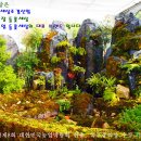 들꽃나라농장 이미지