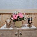 가평쉼뜰 단체독채 펜션 | 가을 낭만 가득한 가평 사우나 펜션, &#39;가평쉼뜰단체독채펜션&#39;에서 힐링 여행