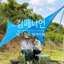 아곡 | 칠곡 애견카페 컴페니언 후기｜넓은밭에서 강아지와 신나게 뛰어놀기｜대구근교 애견카페