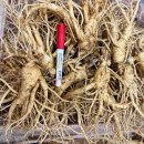 6년근 다양한 파지 인삼 판매합니다 이미지