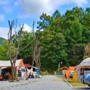 양지-3351 이미지