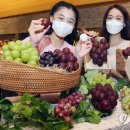 중구만나푸드마켓 이미지