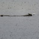 통일공원(함정전시관, 안보전시관) 박물관 이미지