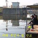 붕어의 신 이미지