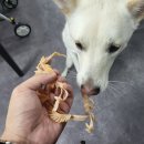 김태희공인중개사사무소 이미지