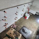 동서촌로 이미지