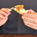 태리 | [행궁동 맛집] 퓨전 파스타 태리주택 수원 행궁 후기