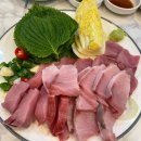 이모카세 티스토리