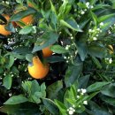 허브인허브 이미지