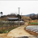 월파농장 Daum카페