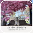 멍인더숲 목욕탕 | 화성/오산 새로운 자연운동장 멍인더숲 반려견운동장, 애견카페, 애견목욕탕