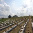 광암리 마을회관 이미지