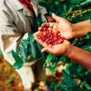 (주)플랜하다 이미지