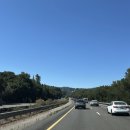 동화카서비스 | [샌프란시스코] [로스엔젤레스] 렌트카 가족여행 찐 후기!🚗