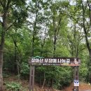 남동구 장아산근린공원 무장애나눔길 네이버블로그