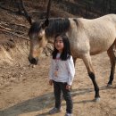 준이농장 이미지