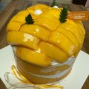 (주)연휘 | 6월 🐣교사의 일상