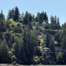 한국통신 용전지점 | 밴쿠버에 두쫀쿠, 버터떡 파는 한국 스타일 카페 Goldie's donuts &amp; bakery 내돈내산 솔직 후기