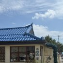 속초커피 | 속초 세렝게티커피가 성남에도? 세렝게티커피 속초점, 성남점 방문 후기