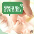 꽃피는열두달 이미지