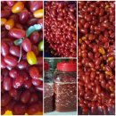 철원농약사 이미지