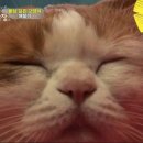 상귀농장 이미지