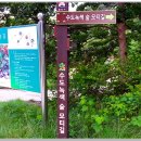 수도녹색숲모티길 이미지