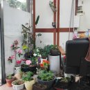 사임당로8길 4 이미지