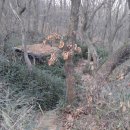 율곡천 1 이미지